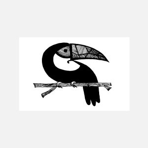 Toucan