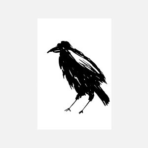 Raven 1