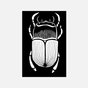 Beetle 1