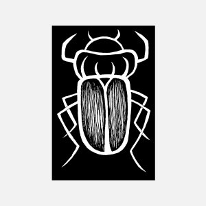 Beetle 2