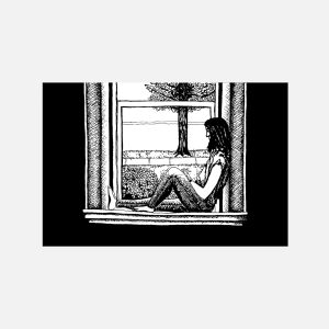 Window Gaze