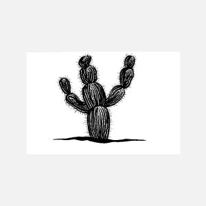 Cactus 1