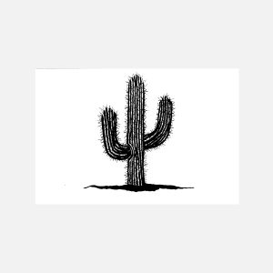 Cactus 2