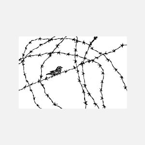 Birds On Barbed Wire 2