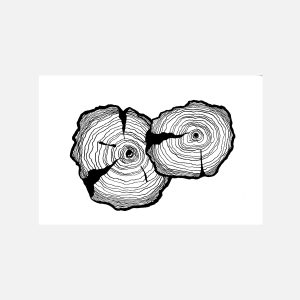 Tree Rings 1