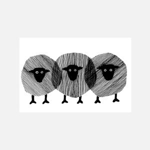 Sheep Crosshatch