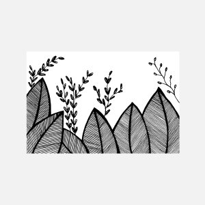 Leaves & Branches