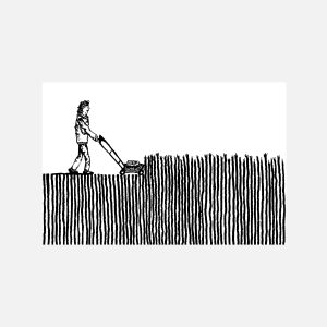 Mowing Lawn