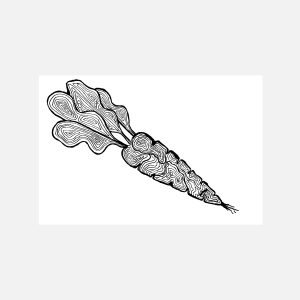 Carrot