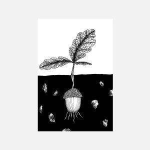 Acorn Underground