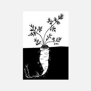 Carrot Underground
