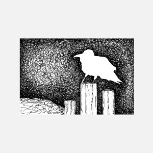 Raven on Post
