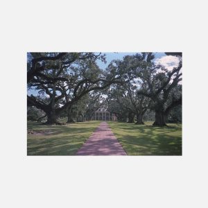 NOLA House